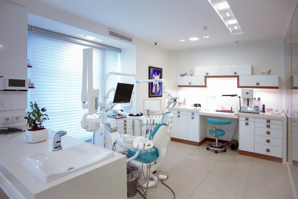 Veterinarian examining dog in modern clinic